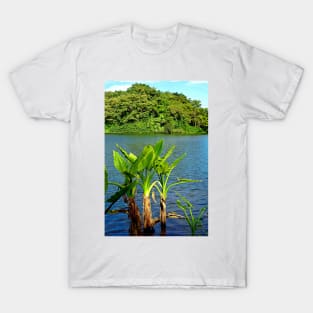 Waokele Pond and Palms T-Shirt